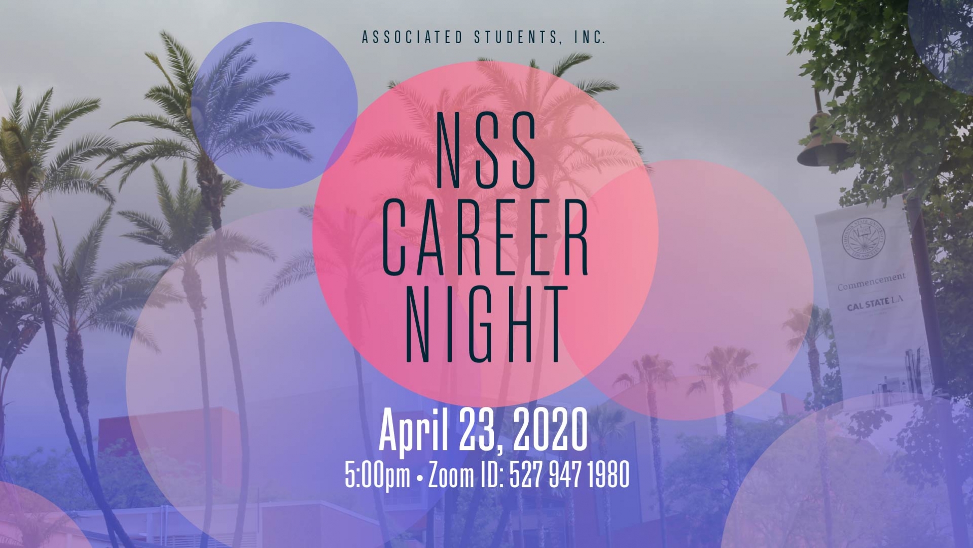 NSS Career Night