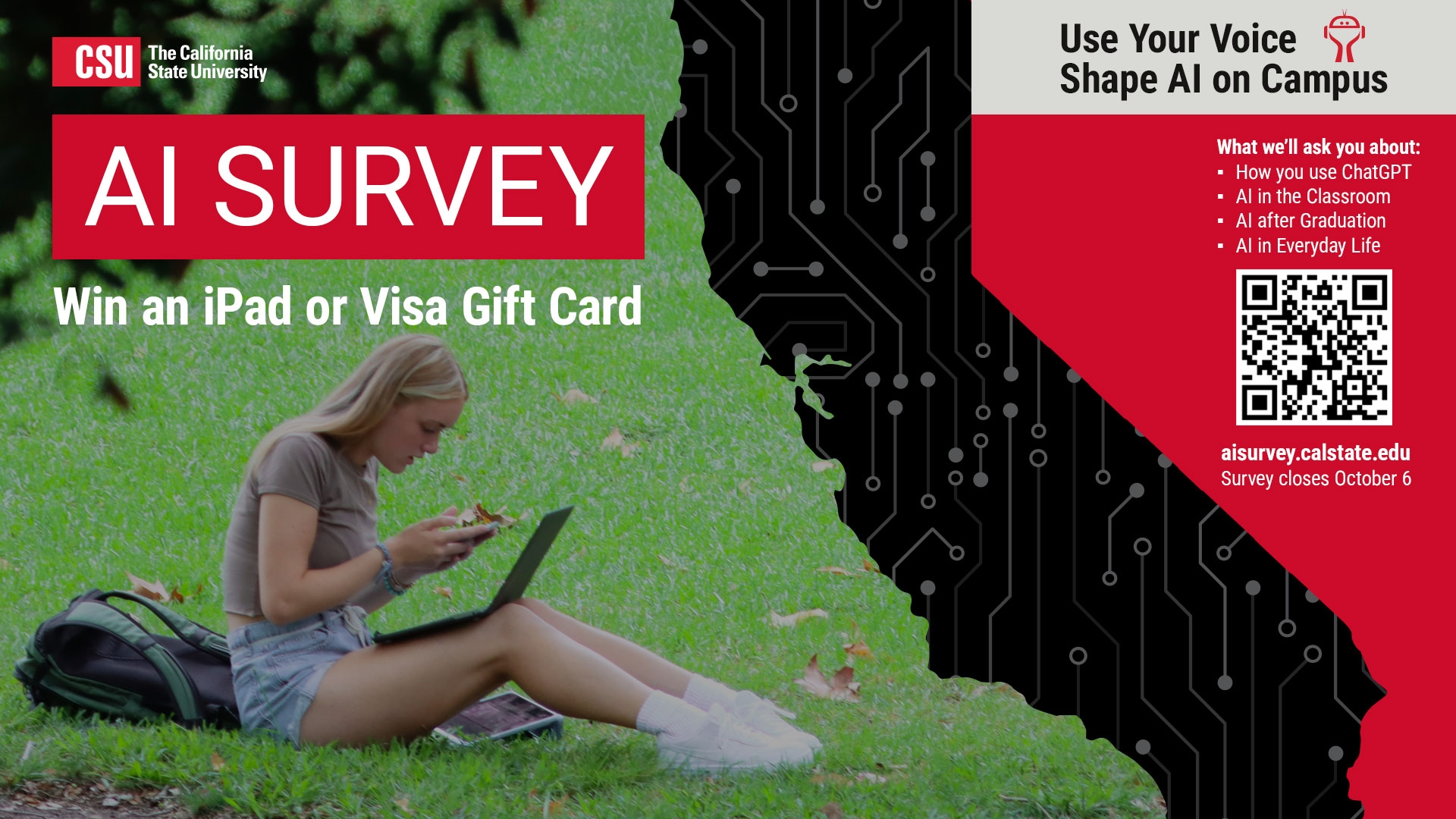 AI Survey